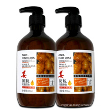 Best ginger shampoo for hair loss